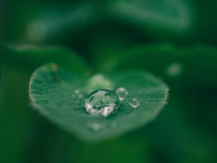 Sustainability Initiatives